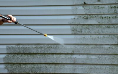 The Impact of Mold and Algae on Your Home’s Exterior (and How Pressure Washing Helps)